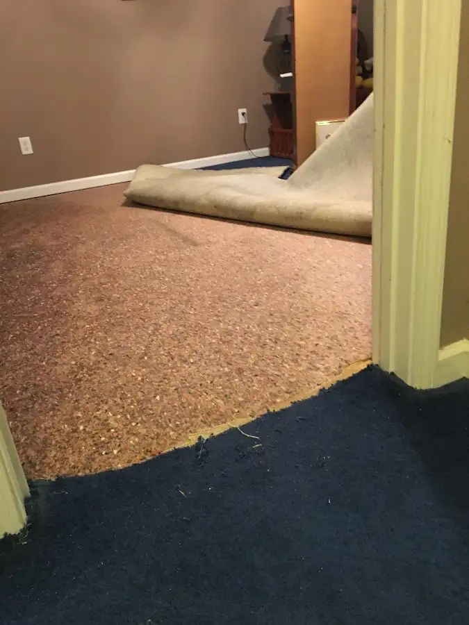 Carpet pad removal revealing water damage during Drying & Dehumidification in Oradell