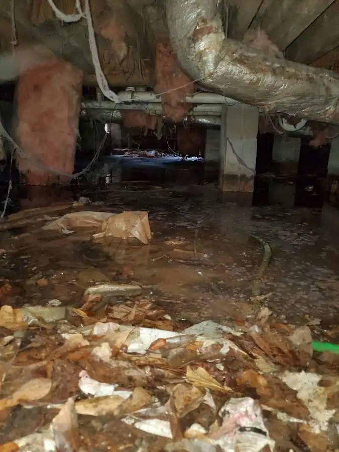 Crawl space flood assessment for Leak Detection & Repair in Oradell